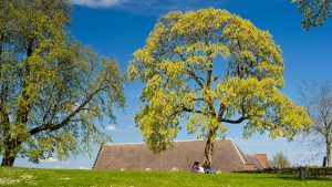 A couple relaxes under a tree with a farmhouse in the rural landscape.