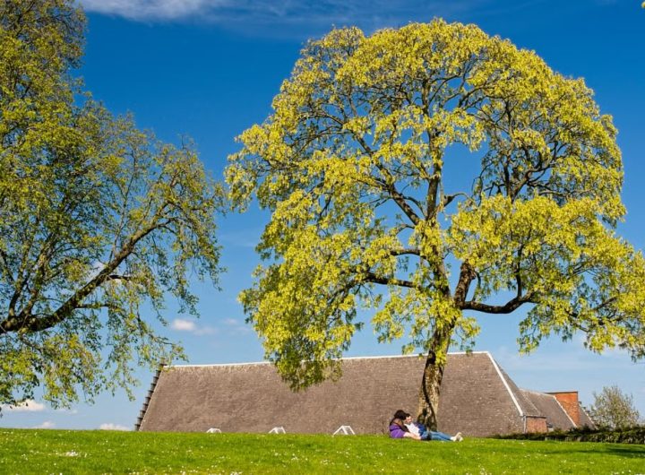 A couple relaxes under a tree with a farmhouse in the rural landscape.
